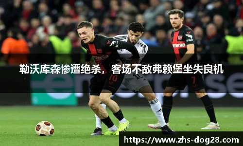 狗子28官网