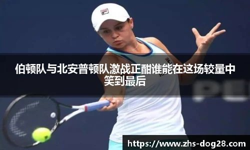 狗子28官网